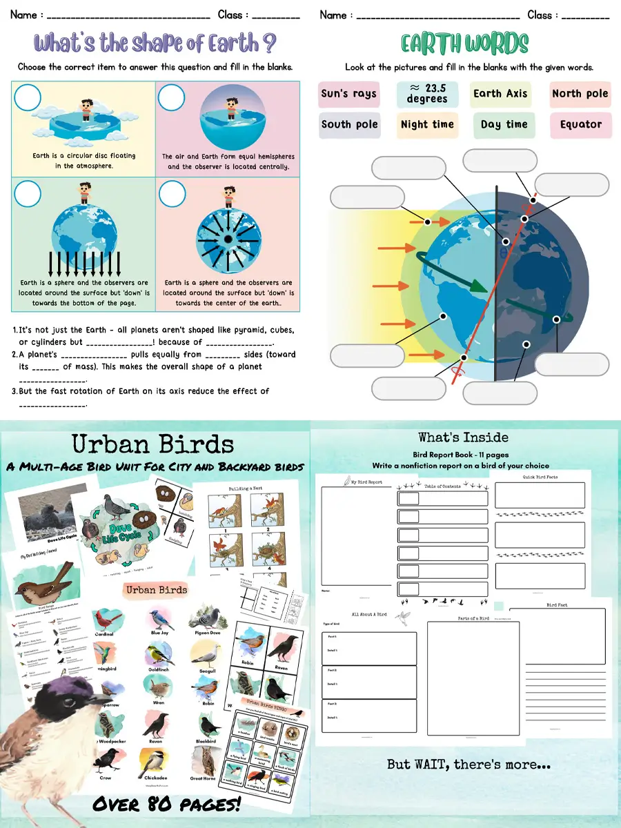 Mega Science Worksheet Bundle – 578 Pages of Hands-On Learning for Kids - Image 2